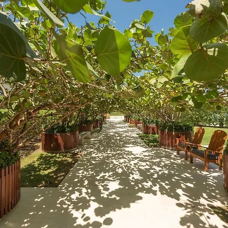 Beachfront Modern One-bedroom With Pool, Parking
